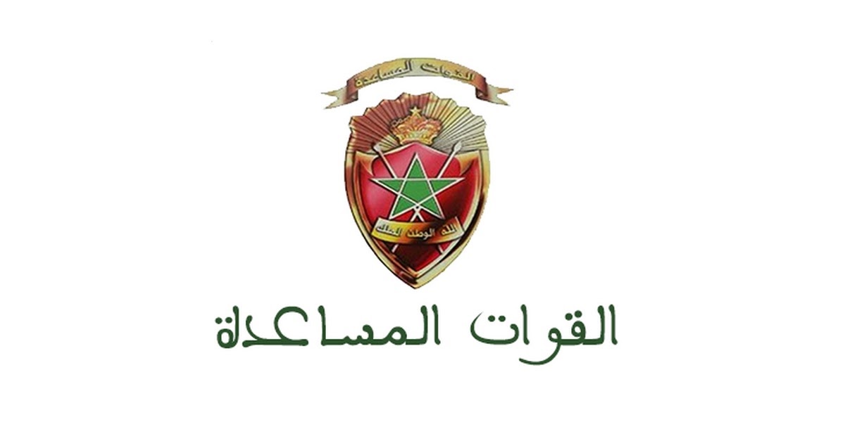 القوات المساعدة