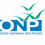 ONP